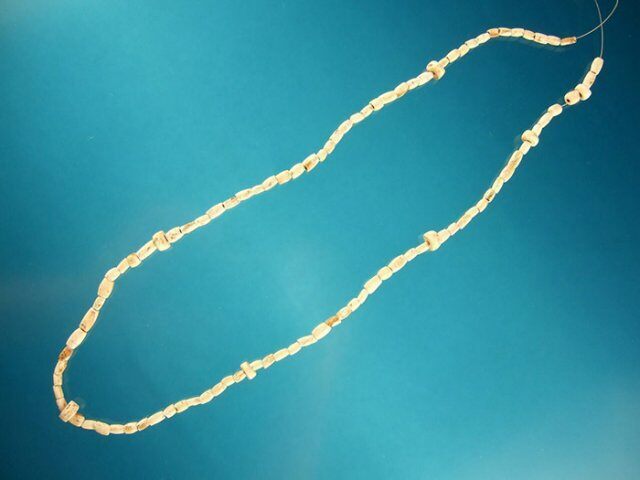 078. 25 Kentucky Shell Bead Necklace. G-10 $195.00 SOLD